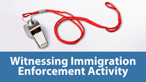 Witnessing Immigration Enforcement